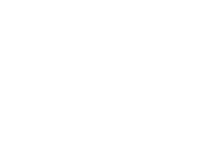 dgtl-fundraising