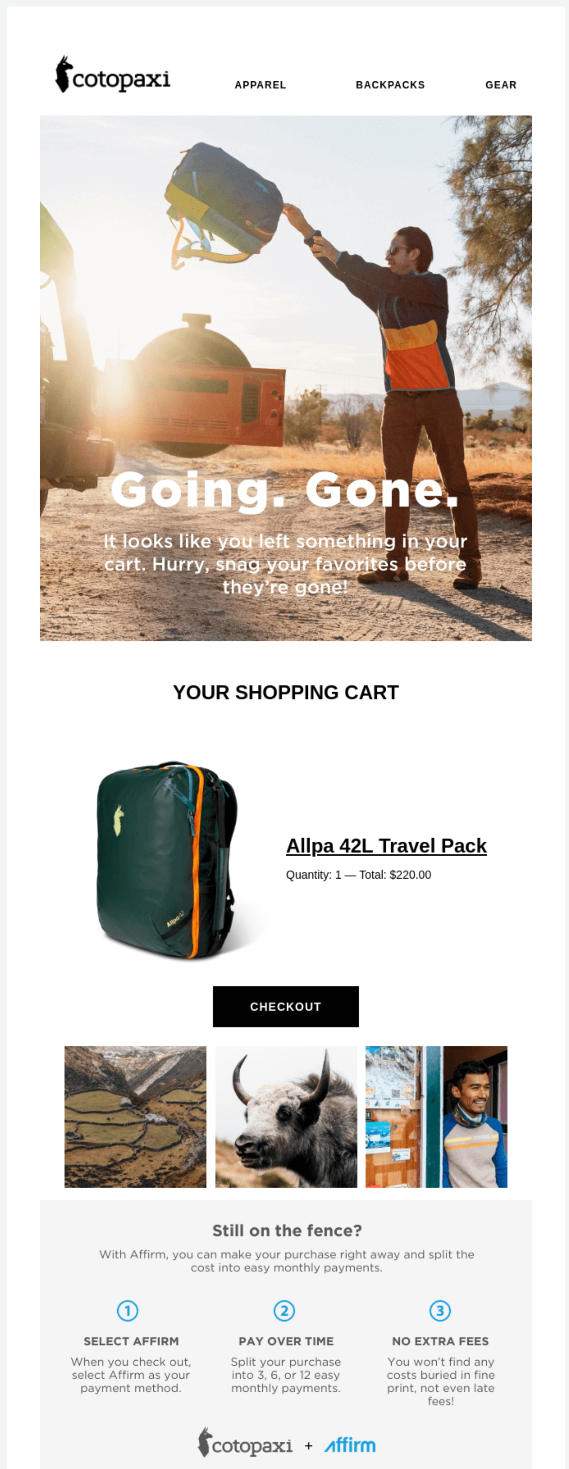 Cotopaxi Abandoned Cart Email