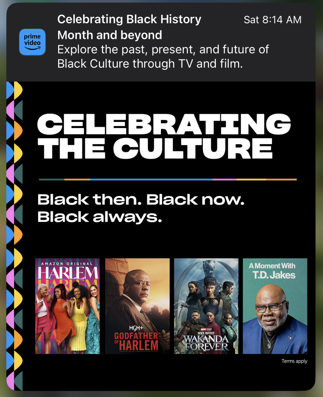 Amazon curated content for Black History Month