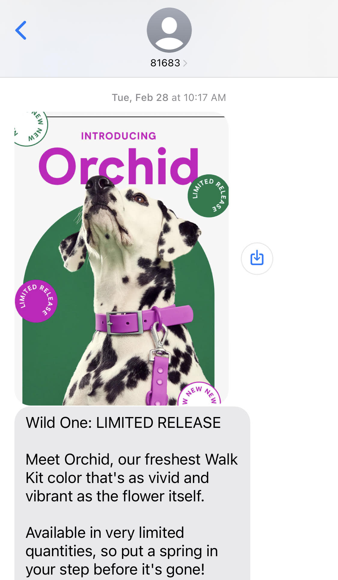 Wild One adds images to their SMS