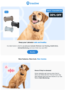 Image of Pet-based Personalization