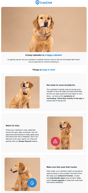 Pet-based Personalization Image
